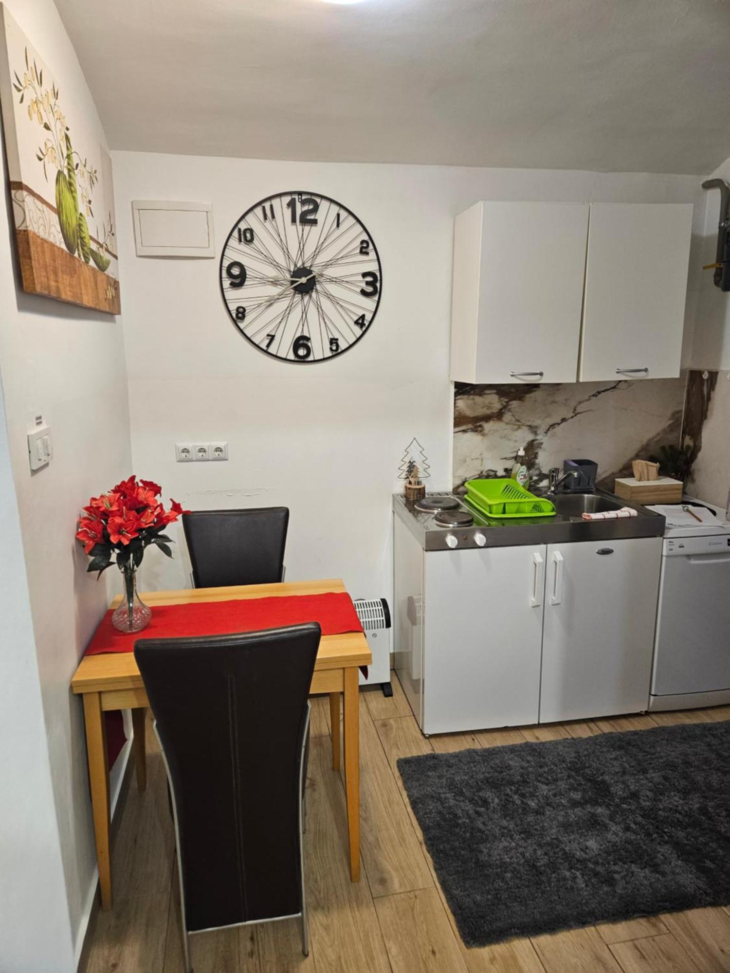 Apartment Maja - Strict Center Of Ζάγκρεμπ Εξωτερικό φωτογραφία