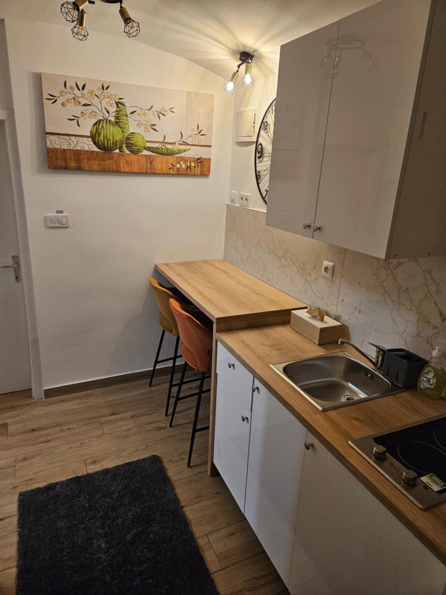 Apartment Maja - Strict Center Of Ζάγκρεμπ Εξωτερικό φωτογραφία